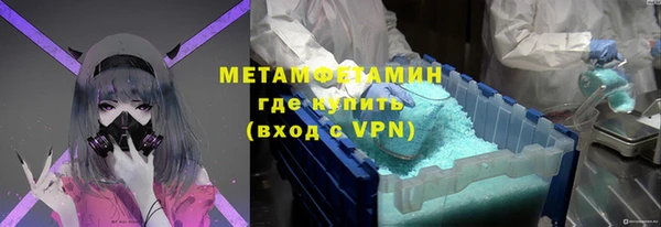 прущие грибы Бугульма
