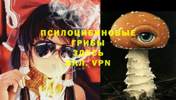 ECSTASY Бронницы
