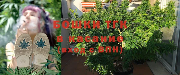 ECSTASY Бронницы