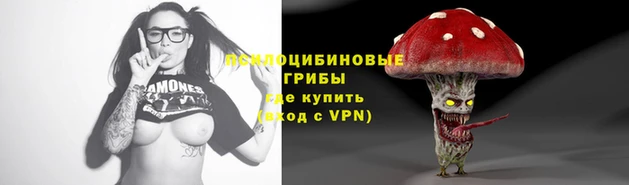 прущие грибы Бугульма