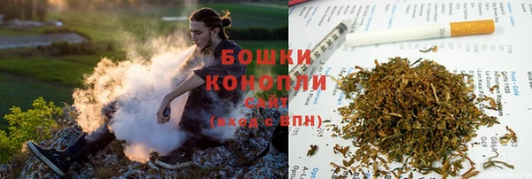 прущие грибы Бугульма