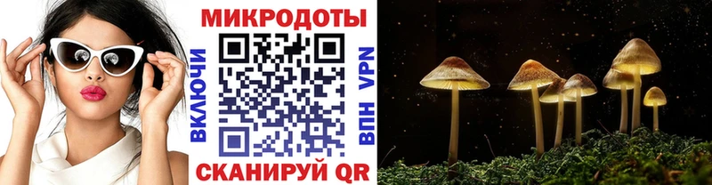 дарнет шоп  Туран  Псилоцибиновые грибы MAGIC MUSHROOMS 